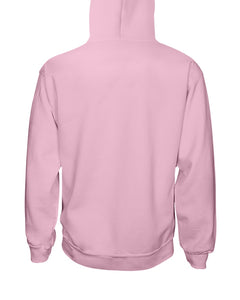You Can't Scare Me I Have A Crazy Daddy Hoodie