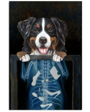 Load image into Gallery viewer, Bernese Mountain Dog X-ray Gift For Dog Lovers Vertical Poster
